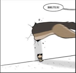 Brutus Wall Smash Meme Template