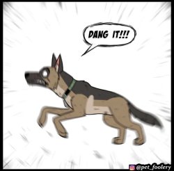 Pixie and Brutus Dang It Meme Template