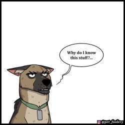 Why do I know this stuff? Meme Template