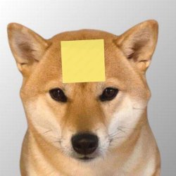 noted dog Meme Template