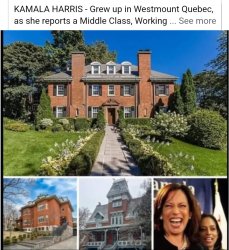 Kamala Harris version of "middle class". Meme Template