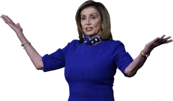 PELOSI IMITATES LETTER W Meme Template