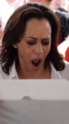 Kamala Meme Template