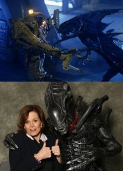 POPiS Ripley vs Alien Meme Template