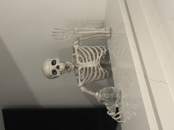 Shocked Skeleton Meme Template