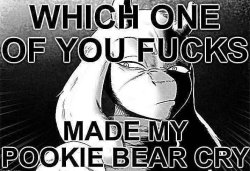 Which one of you fucks made my pookie bear cry Meme Template