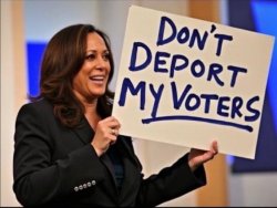 Deport her voters Meme Template