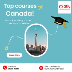 Top Courses In Canada Meme Template