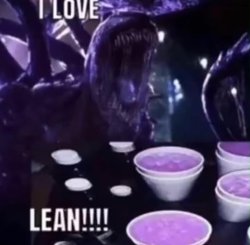 I LOVE LEAN!!!! Meme Template