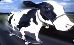 Skateboard cow Meme Template