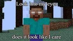 Herobrine doesn't care Meme Template