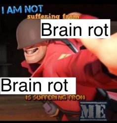 brainrot is suffering from me Meme Template