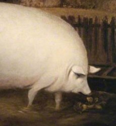 You truly are despicable, brother Meme Template