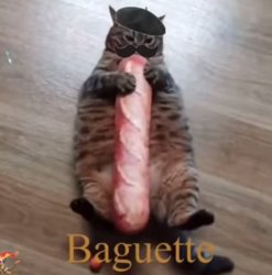 Baguette Cat Meme Template