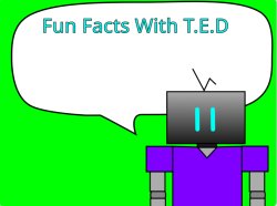 Fun Facts With T.E.D Meme Template