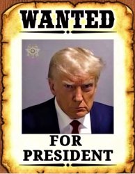 Wanted Trump for president sign Meme Template