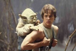 Yoda on Luke Skywalkers back Meme Template