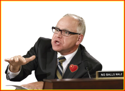 WALZ - NO BALLS Meme Template