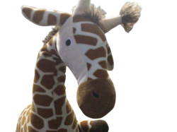 Henry The Giraffe Meme Template