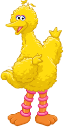 Big Bird (1969) Meme Template
