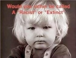 Racist? Meme Template