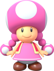 Toadette (2003) Meme Template