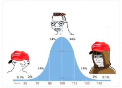 Trump Bell Curve Meme Template