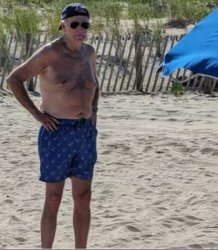 Beach Bunny Biden Meme Template