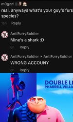 Mines a Shark :D WRONG ACOUNY Meme Template