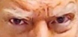 Trump Mugshot closeup Meme Template