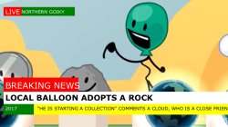 Local balloon adopts a rock Meme Template