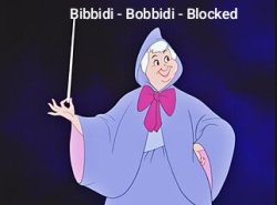 Bibbidi-Bobbidi-Blocked Meme Template