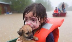 Flood victim Meme Template