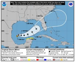 Hurricane Milton Meme Template