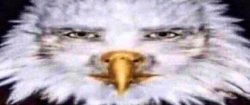 Serious eagle man Meme Template