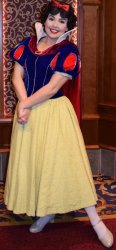 Disneyland Snow White Meme Template