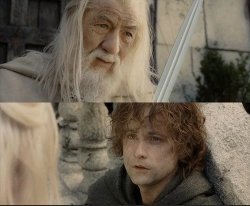 gandalf and pippin Meme Template