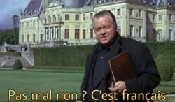 Pas mal non? C'est français Meme Template