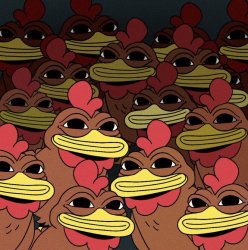 COQINU coqmunity Meme Template