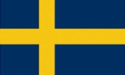 Svensk flagga Meme Template