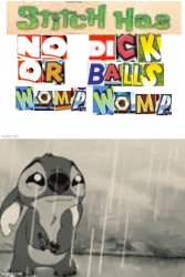 Stitch has no dick or balls womp womp Meme Template