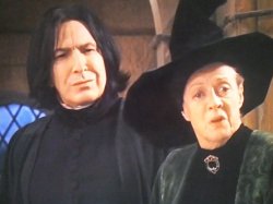 Snape and McGonagall Meme Template