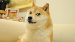 doge meme 16:9 Meme Template