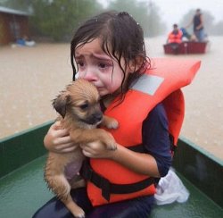 Flood puppy Meme Template