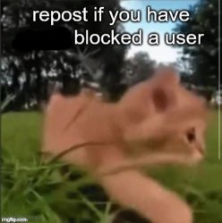 blocked user Meme Template