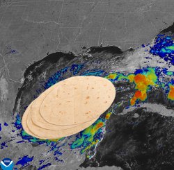 Hurricane Tortilla Meme Template