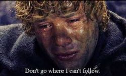 Sam can't follow frodo Meme Template