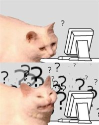 Confused cat Meme Template