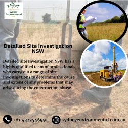 Detailed Site Investigation NSW Meme Template