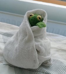 Kermit Blanket Meme Template